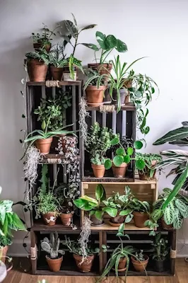 Se você é apaixonada por plantas mas tem pouco espaço em casa ou mora em um apartamento e isso está te impedindo de criar aquele jardim que sempre teve vontade, saiba que isso não precisa ser mais um problema.