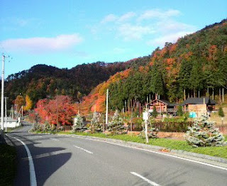 東沢公園内の山々の紅葉