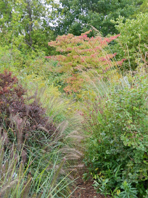 Toronto Botanical Garden Nature's Walk Fall Colours by garden muses--not another Toronto gardening blog