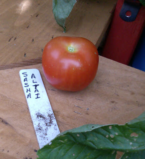 Shade Gardener Blog Heirloom Tomatoes