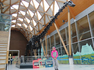 Dippy the dinosaur at The Herbert Art Gallery Coventry.