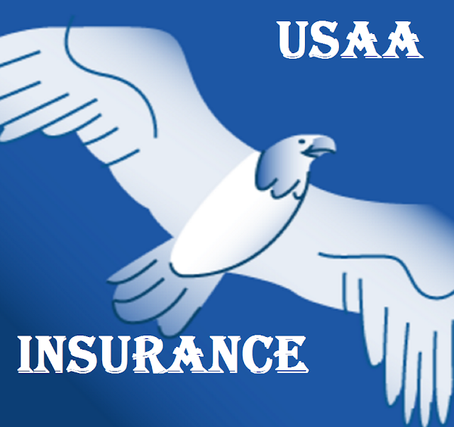 USAA INSURANCE COMPANY HIGH RESOLUTION LOGO