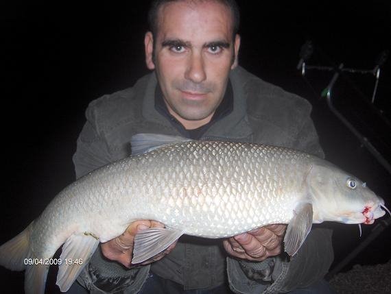 Barbo 9 Abril 2009
