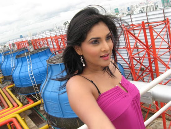 hot kannada tamil actress divya or ramya hot show pics-beautyceleb.blogspot.com