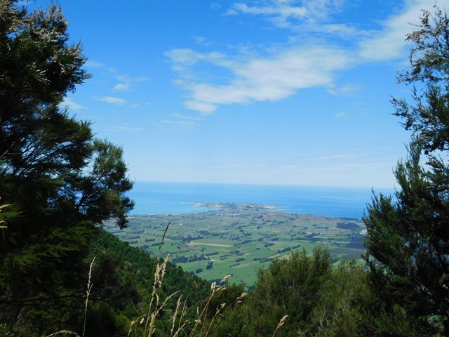 DSCN3453