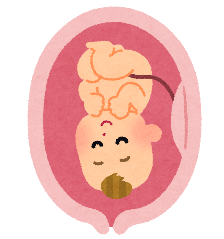 お腹の中の赤ちゃんのイラスト かわいいフリー素材集 いらすとや お腹の中の赤ちゃんのイラスト かわいいフリー素材集 いらすとや