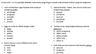 Contoh Soal Ujian Mandiri Ips Pdf