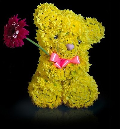 flowers16