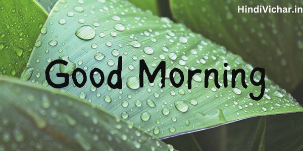 Good Morning Rain Images Whatsapp