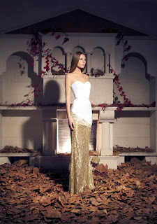 Beautiful Evening Dresses for Special Occasion by Tarek Sinno
