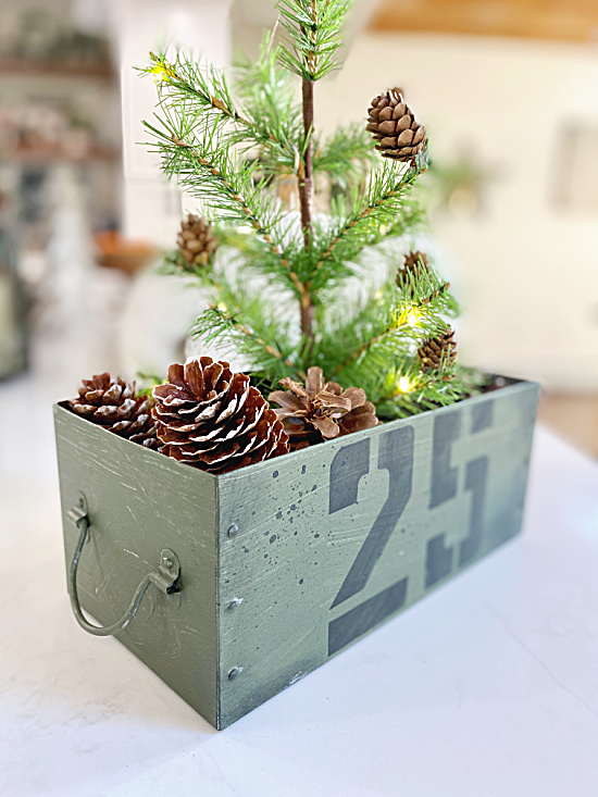 Christmas tree in crate with pinecones