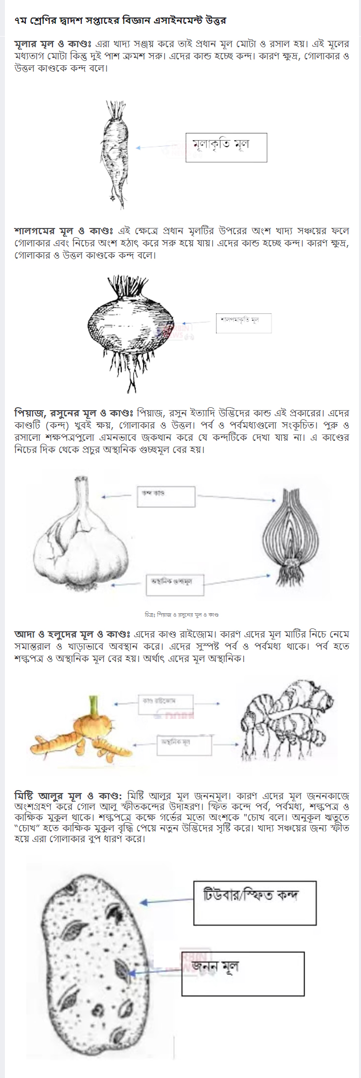 12th Week Class 7 Assignment Answer 2021