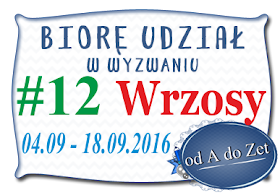 http://blog-odadozet-sklep.blogspot.com/2016/09/wyzwanie-12.html