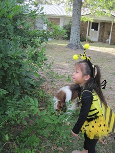 Halloween 2010 003