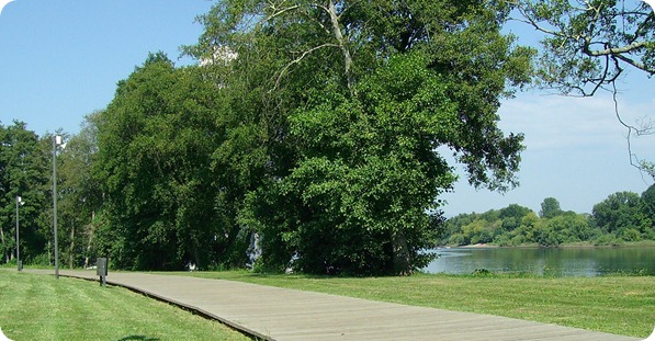 Passeio às margens do Rio Minho