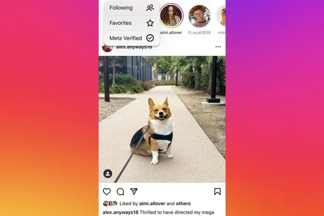 إنستاجرام تختبر خيار تبديل جديد يعرض منشورات مشتركي Meta Verified فقط