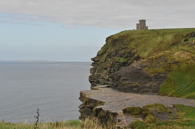 DSC_2880