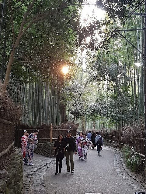 kyoto arashiyama bamboo grove