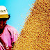 CAN A NEW COMMODITIES BOOM REVIVE BRAZIL? / THE FINANCIAL TIMES BIG READ