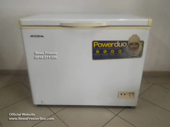 sewa freezer box 200 liter Gunung Kidul Yogyakarta