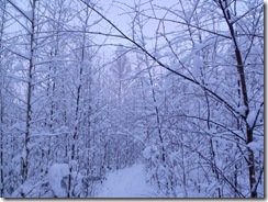 DSCF0330