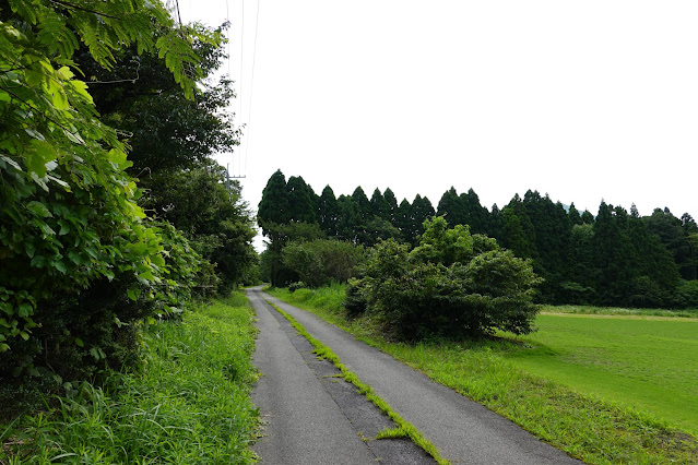 鳥取県西伯郡大山町赤松　地頭ブルーベリー農園　農道