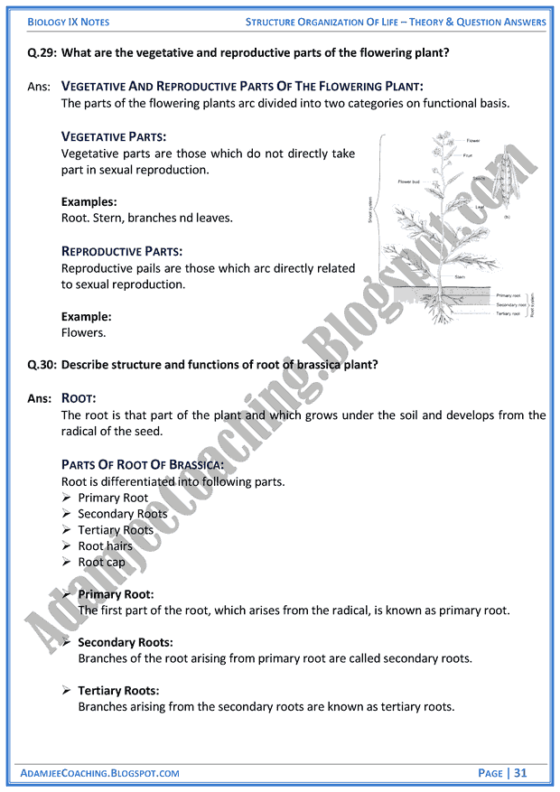 structural-organization-of-life-theory-notes-and-question-answers-biology-notes-for-class-9th