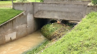 Trecho do Rio Principe próximo ao Condomínio Santa Helena em Teresópolis RJ