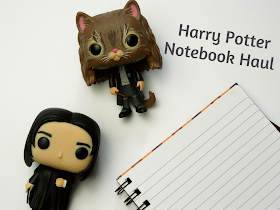 A photo of two figures of Harry Potter characters, Snape and Hermione as a cat 