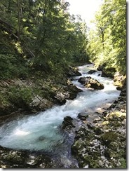 IMG_0874