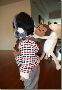 a mongkey on board