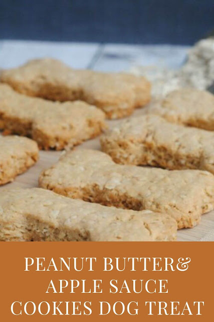 Peanut Butter and Apple Sauce Cookies