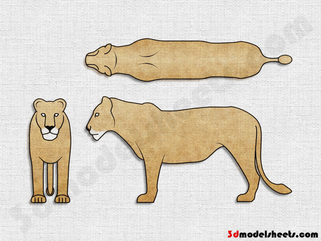HIGH RESOLUTION TEXTURES Free Animal Blueprints Model Sheets