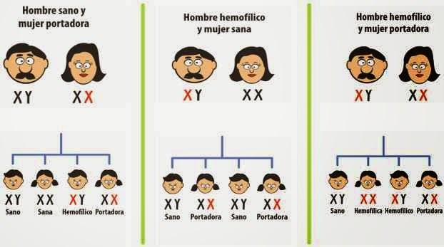 http://www.hemofilia.com/fedhemo/que-es-la-hemofilia/conceptos-basicos/la-hemofilia/