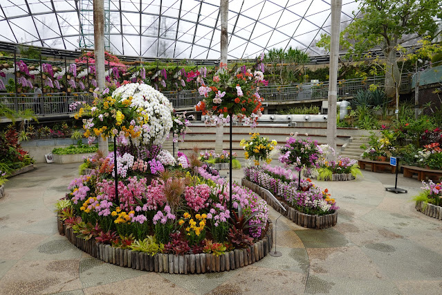 鳥取県西伯郡南部町鶴田 とっとり花回廊 フラワードーム らんの打ち上げ花火