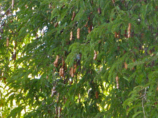 file-62-2012-09-3-21-37-2012-09-3-21-37.jpg