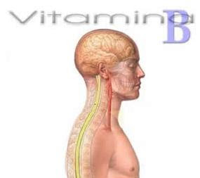 ALIMENTOS RICOS EM VITAMINA B1