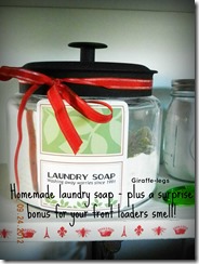 laundry soap1
