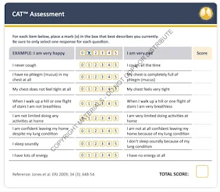 CAT Assessment