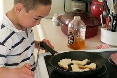Fried honey dinosaurs