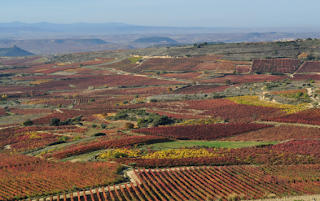 pais vasco rioja alava