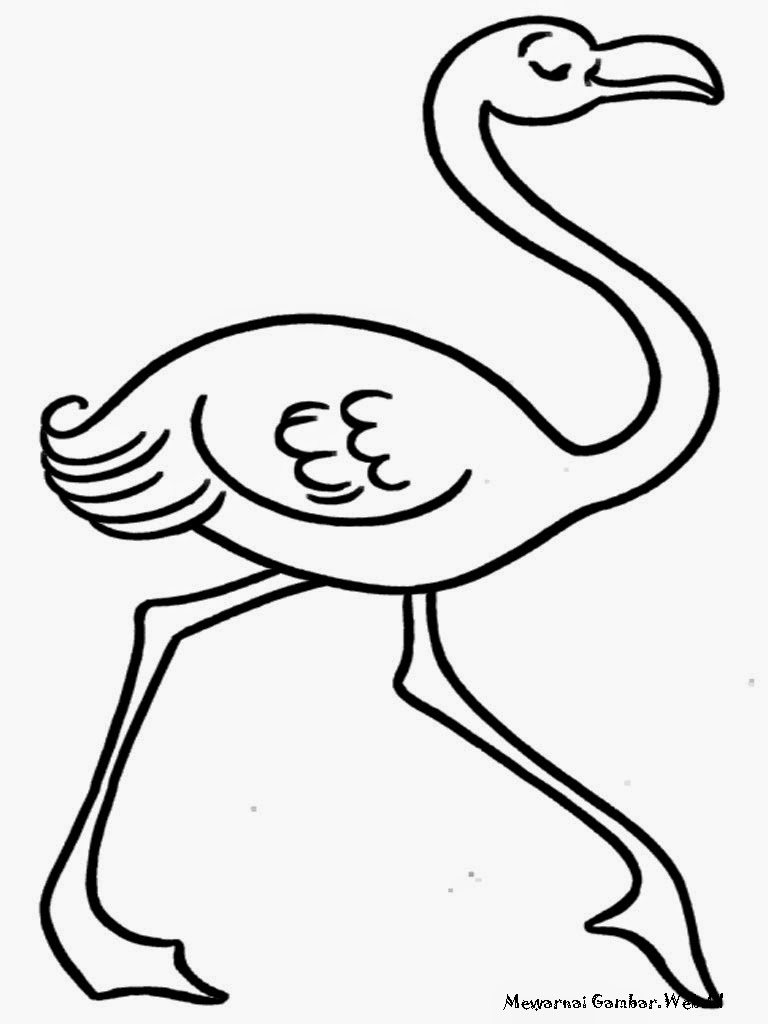 Ilmu Pengetahuan 1 Mewarnai Gambar Burung Flamingo