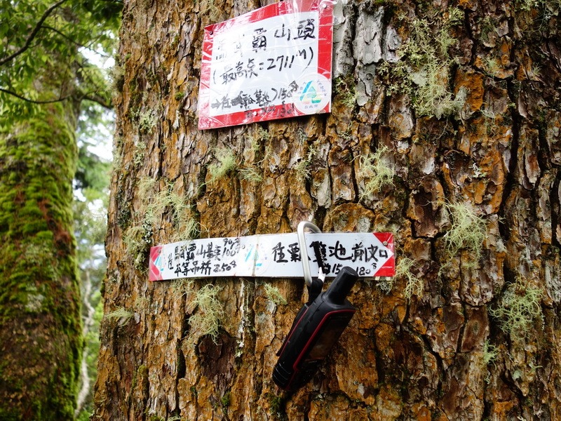 2013_0608-0611 雪山志佳陽下馬武霸億年僑_525