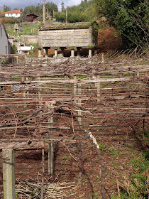 by E.V.Pita (2014) / Galician barns / Por E.V.Pita (2014) Hórreos de Galicia