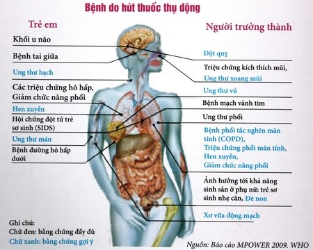 cách cai thuốc lá