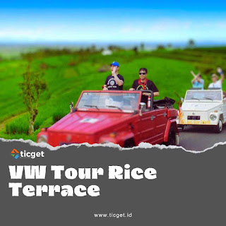 bali-vw-volkswagen-safari-tour-jatiluwih-rice-terrace-trip