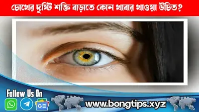 চোখের দৃষ্টি শক্তি বাড়াতে কোন খাবার খাওয়া উচিত? দৃষ্টিশক্তি ভালো রাখার খাবার