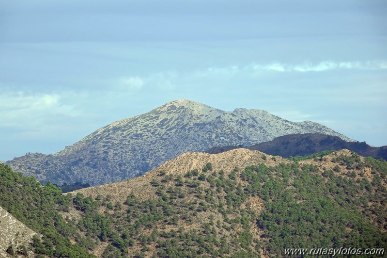 Ruta otoñal por los castañares de Pujerra e Igualeja