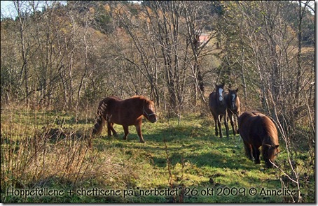 nerbeitet-26okt2009_01