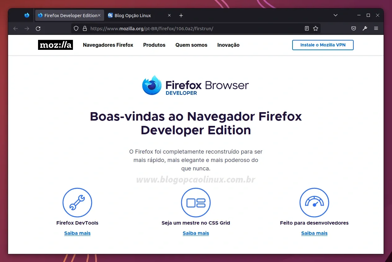 Mozilla Firefox Developer executando no Ubuntu 22.10 (Kinetic Kudu)